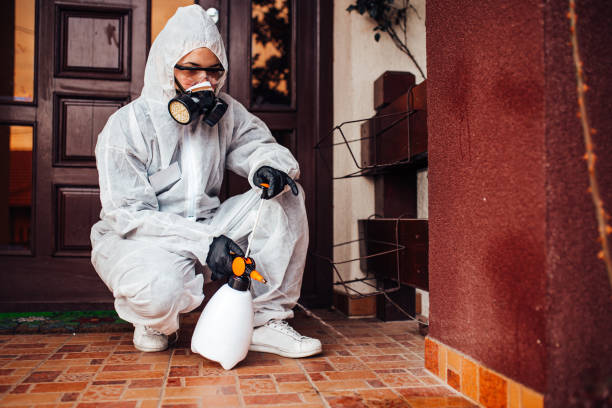 Reliable Cockroach Control contractor in Mandeville, LA by Nex Pest Control