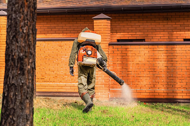 Trusted Termite Control service in Mandeville, LA - Nex Pest Control